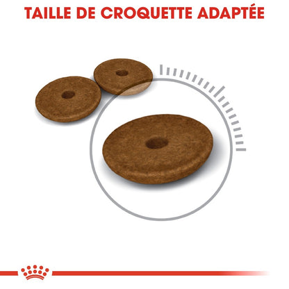 Royal Canin Digestive Care - croquettes chat
