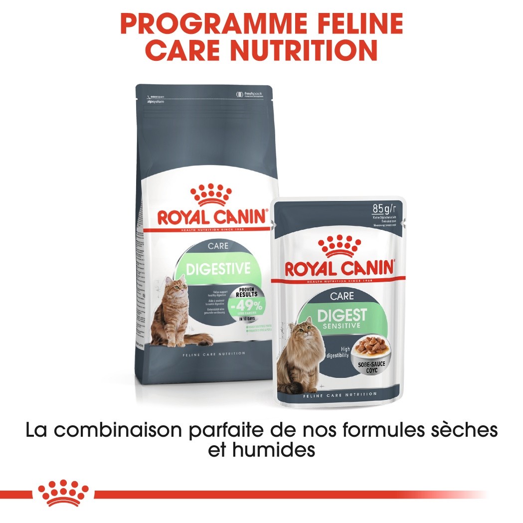 Royal Canin Digestive Care - croquettes chat