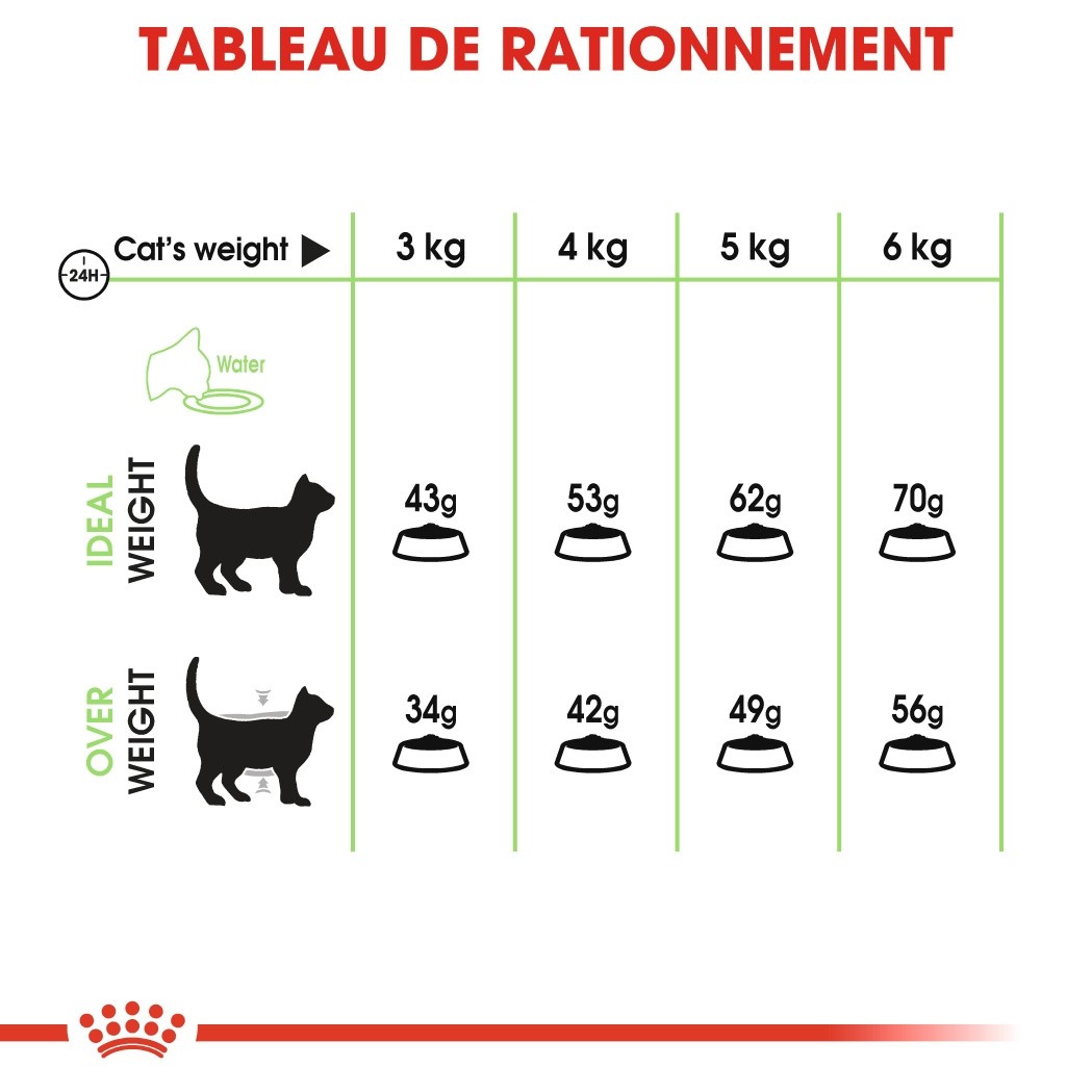 Royal Canin Digestive Care - croquettes chat