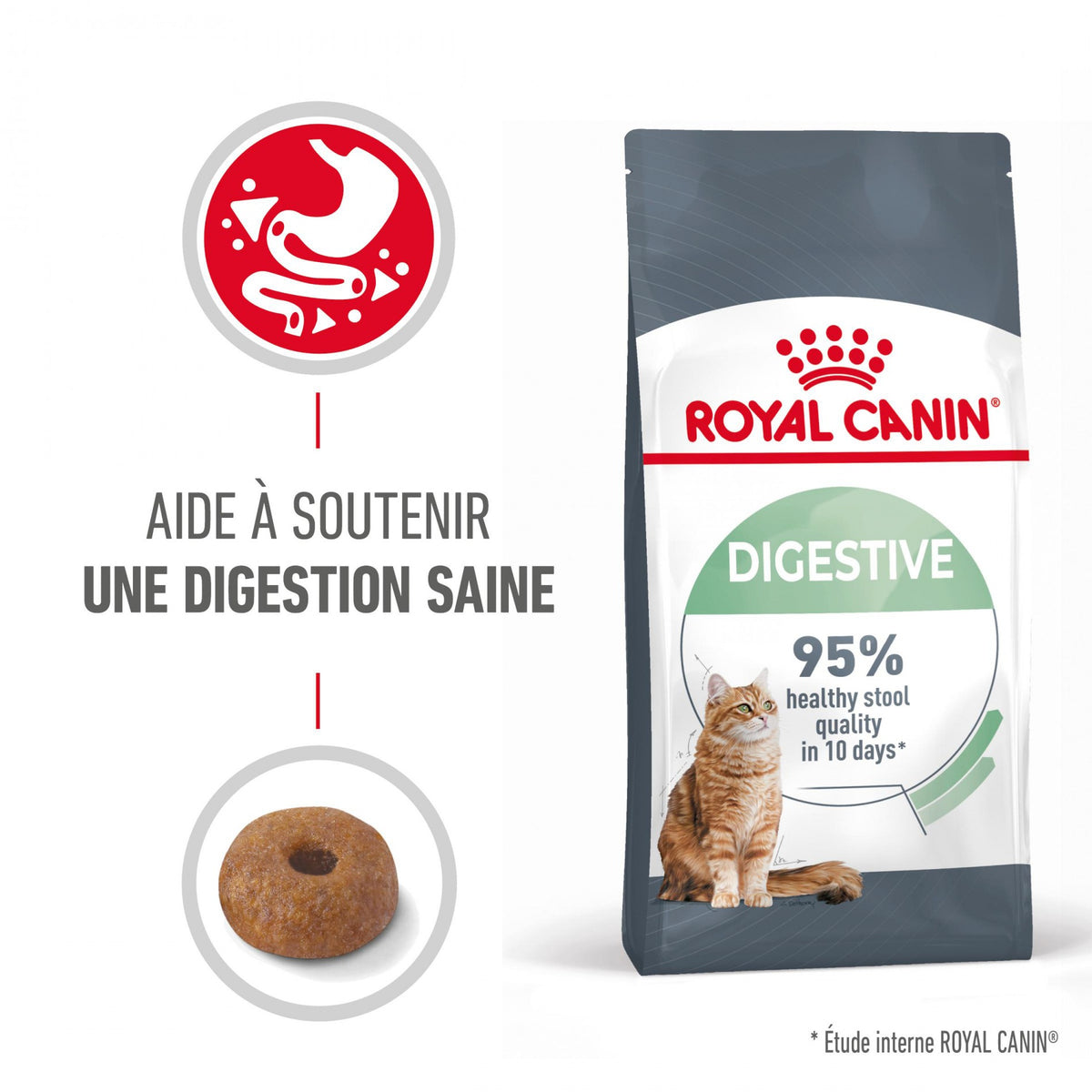 Royal Canin Digestive Care - croquettes chat