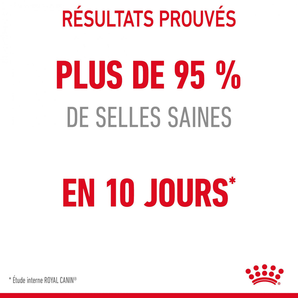 Royal Canin Digestive Care - croquettes chat