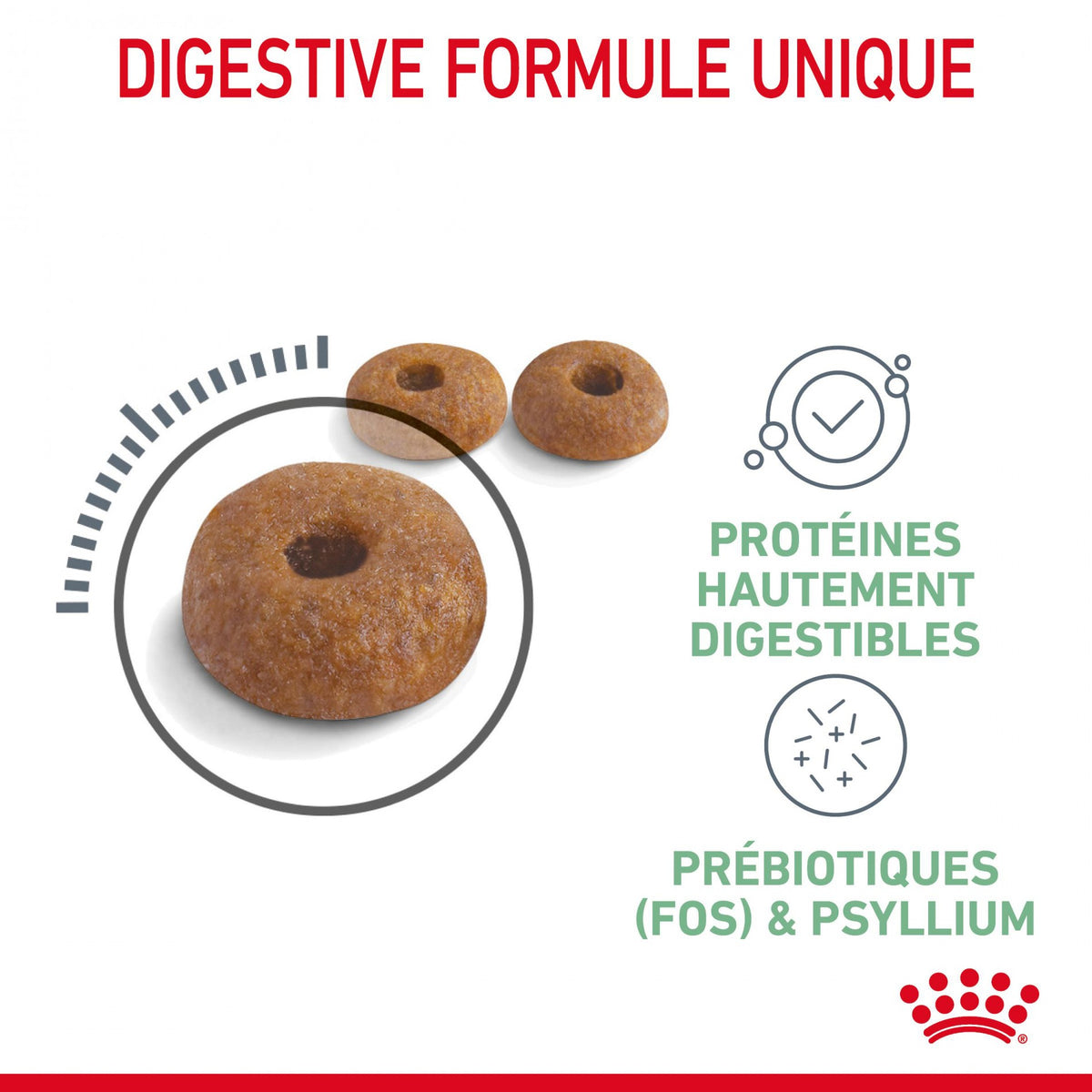Royal Canin Digestive Care - croquettes chat