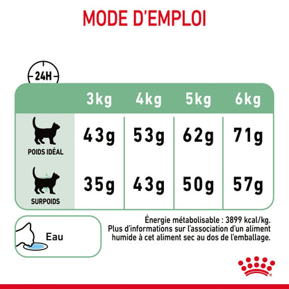 Royal Canin Digestive Care - croquettes chat