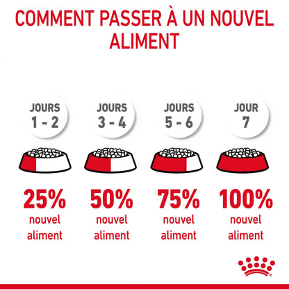 Royal Canin Digestive Care - croquettes chat