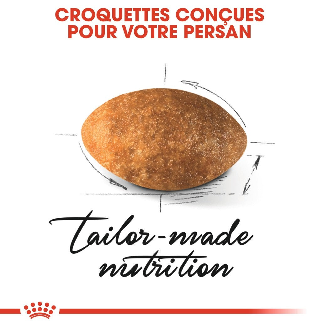 Royal Canin Persian Adult - croquettes chat