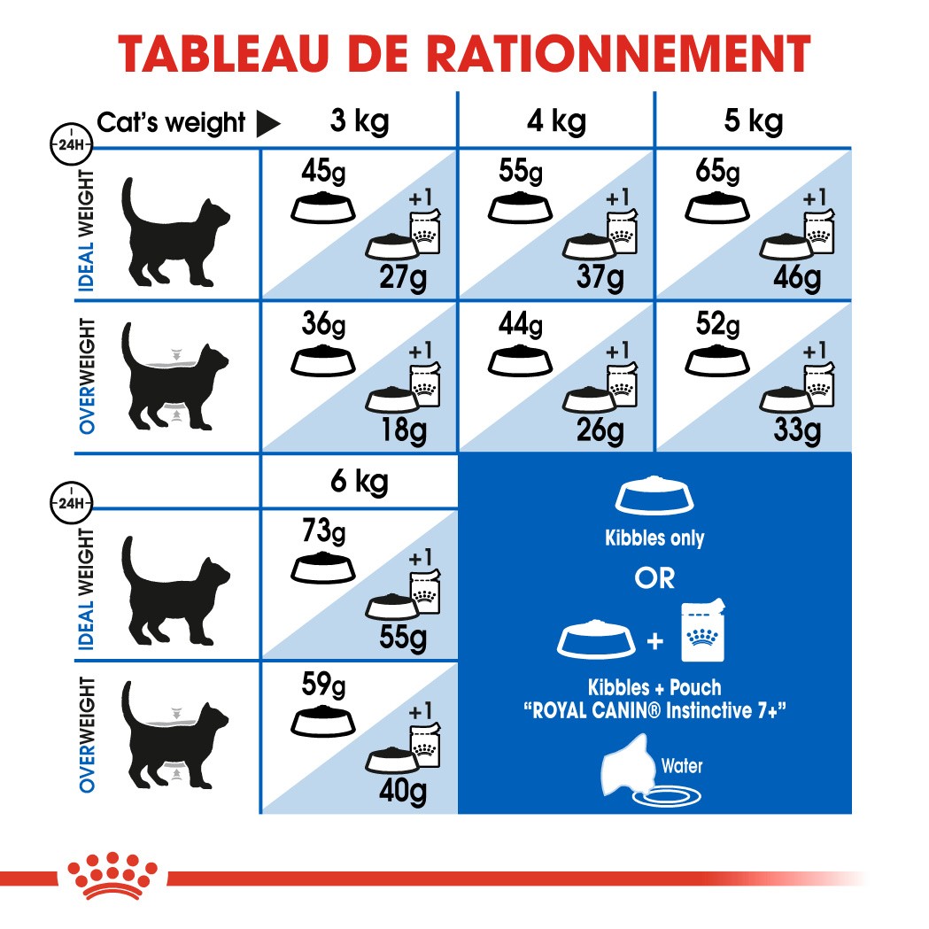 Royal Canin Indoor 7+