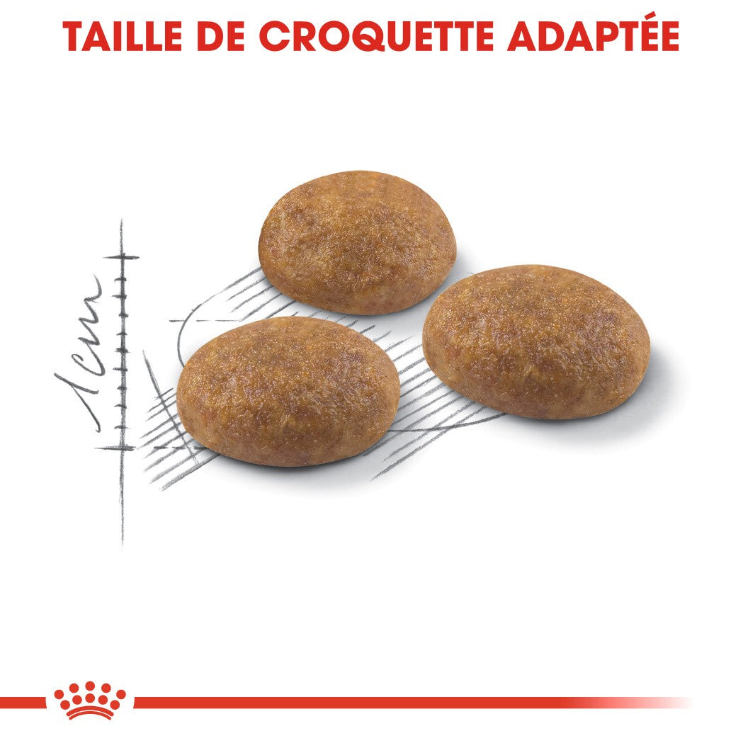 Royal Canin Outdoor - croquettes chat