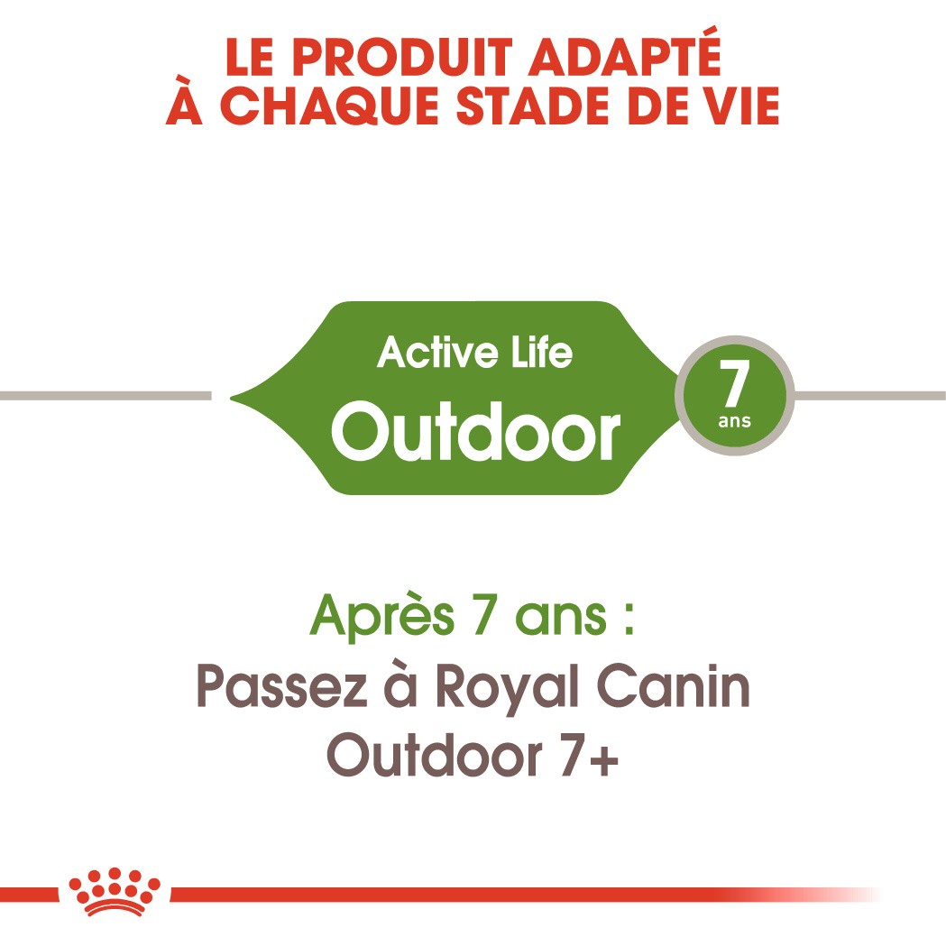 Royal Canin Outdoor - croquettes chat