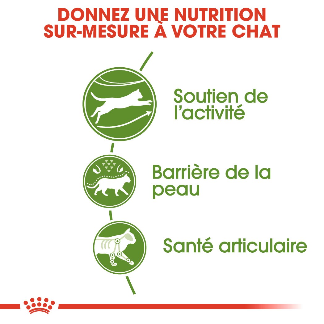 Royal Canin Outdoor - croquettes chat