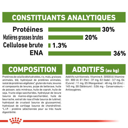 Royal Canin Outdoor - croquettes chat