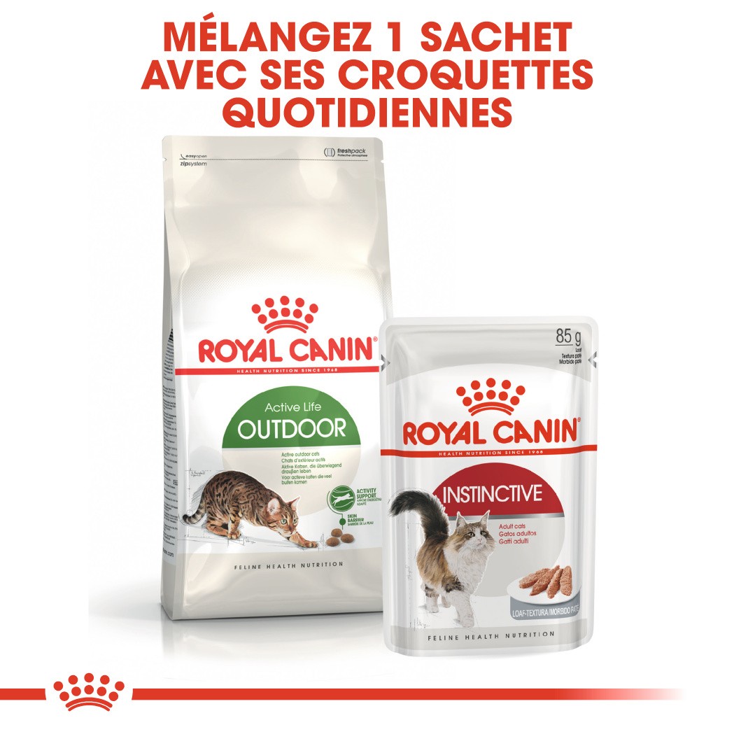 Royal Canin Outdoor - croquettes chat