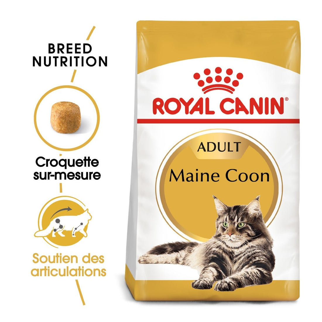 Royal Canin Maine Coon Adult - croquettes chat