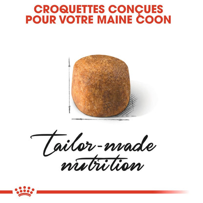 Royal Canin Maine Coon Adult - croquettes chat