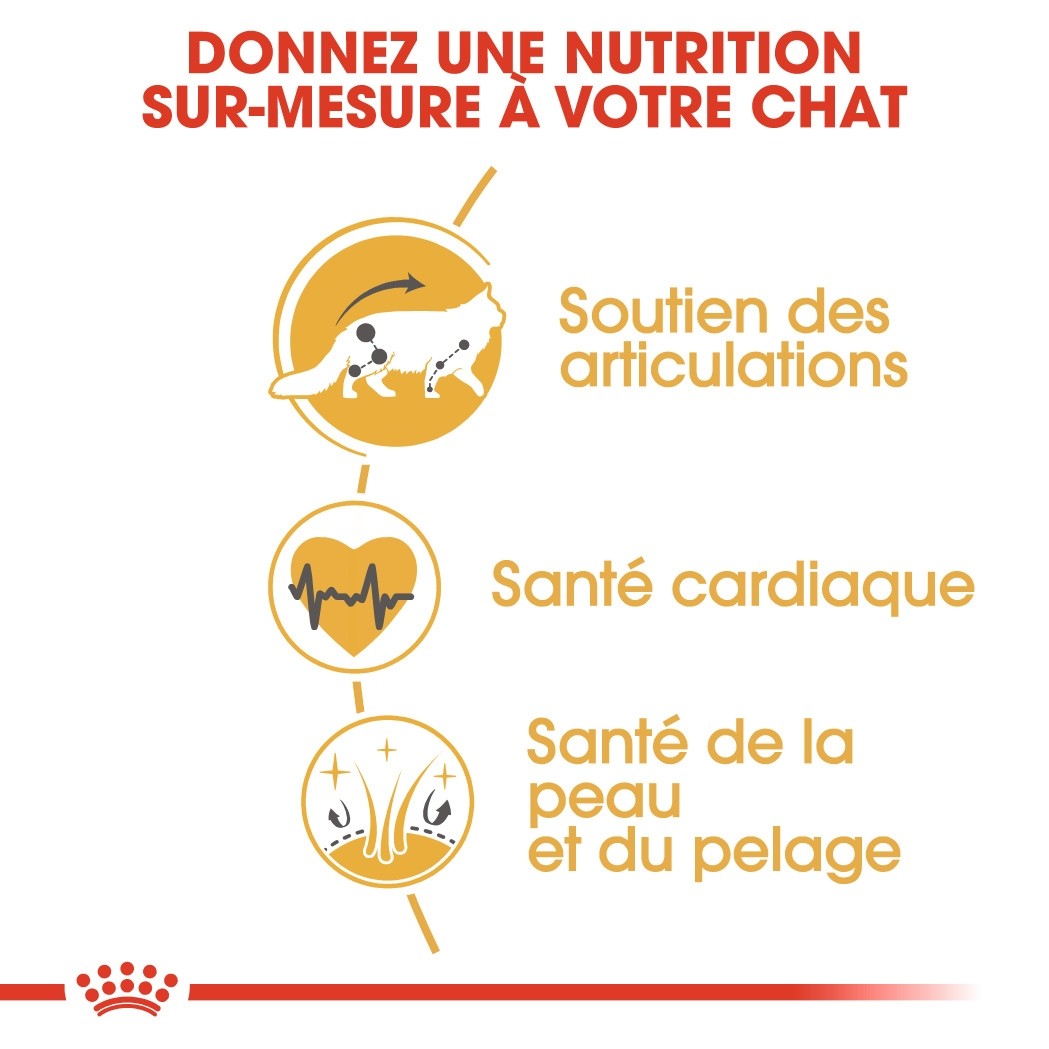 Royal Canin Maine Coon Adult - croquettes chat