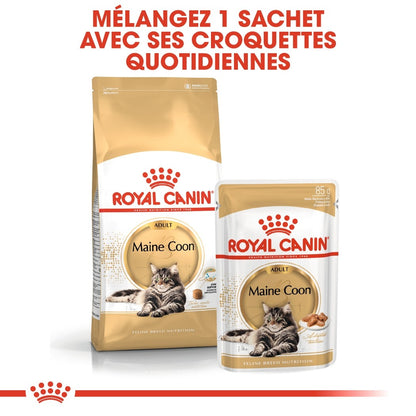 Royal Canin Maine Coon Adult - croquettes chat