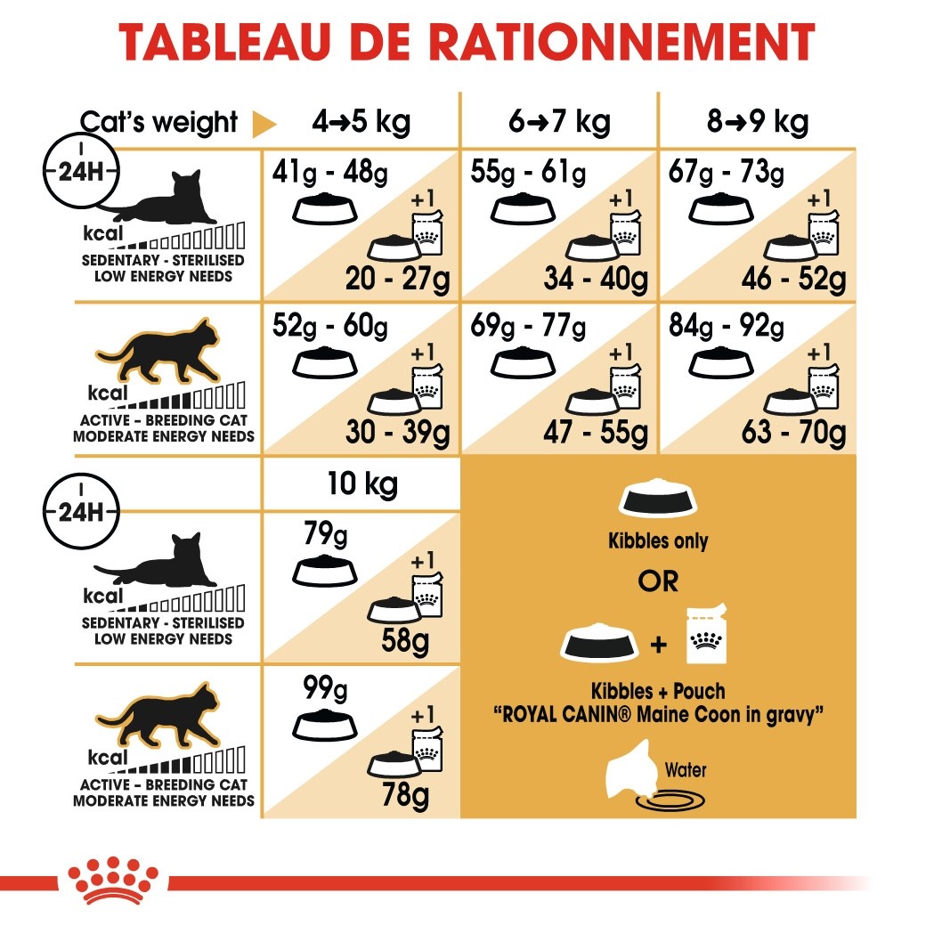 Royal Canin Maine Coon Adult - croquettes chat
