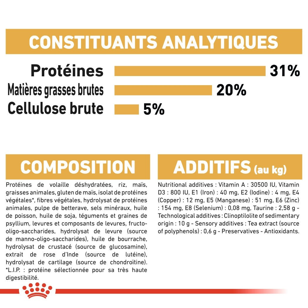Royal Canin Maine Coon Adult - croquettes chat