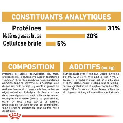 Royal Canin Maine Coon Adult - croquettes chat
