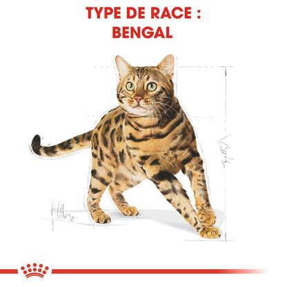 Royal Canin Bengal Adult - croquettes chat