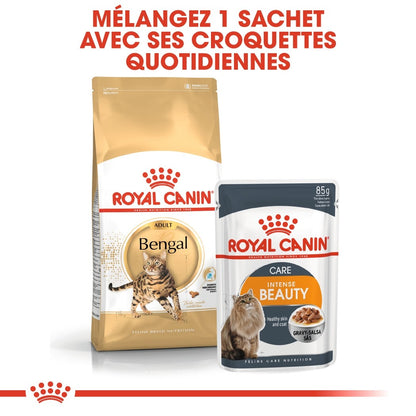 Royal Canin Bengal Adult - croquettes chat