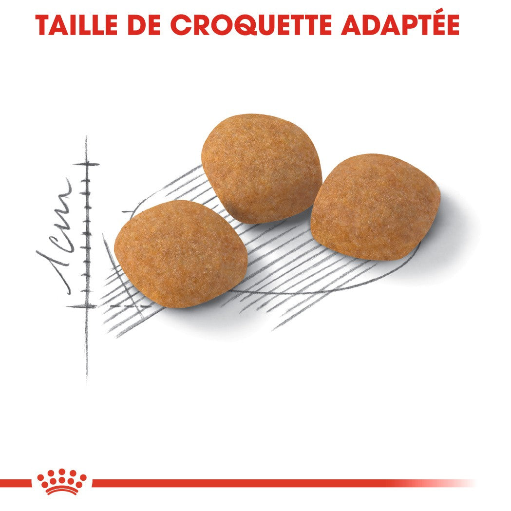 Royal Canin Protein Exigent - croquettes chat