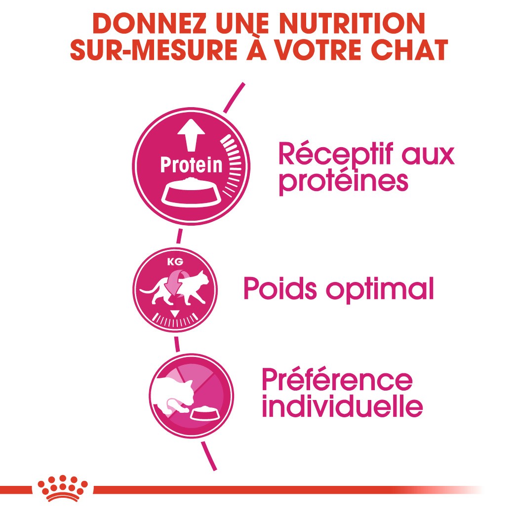 Royal Canin Protein Exigent - croquettes chat