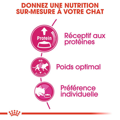 Royal Canin Protein Exigent - croquettes chat