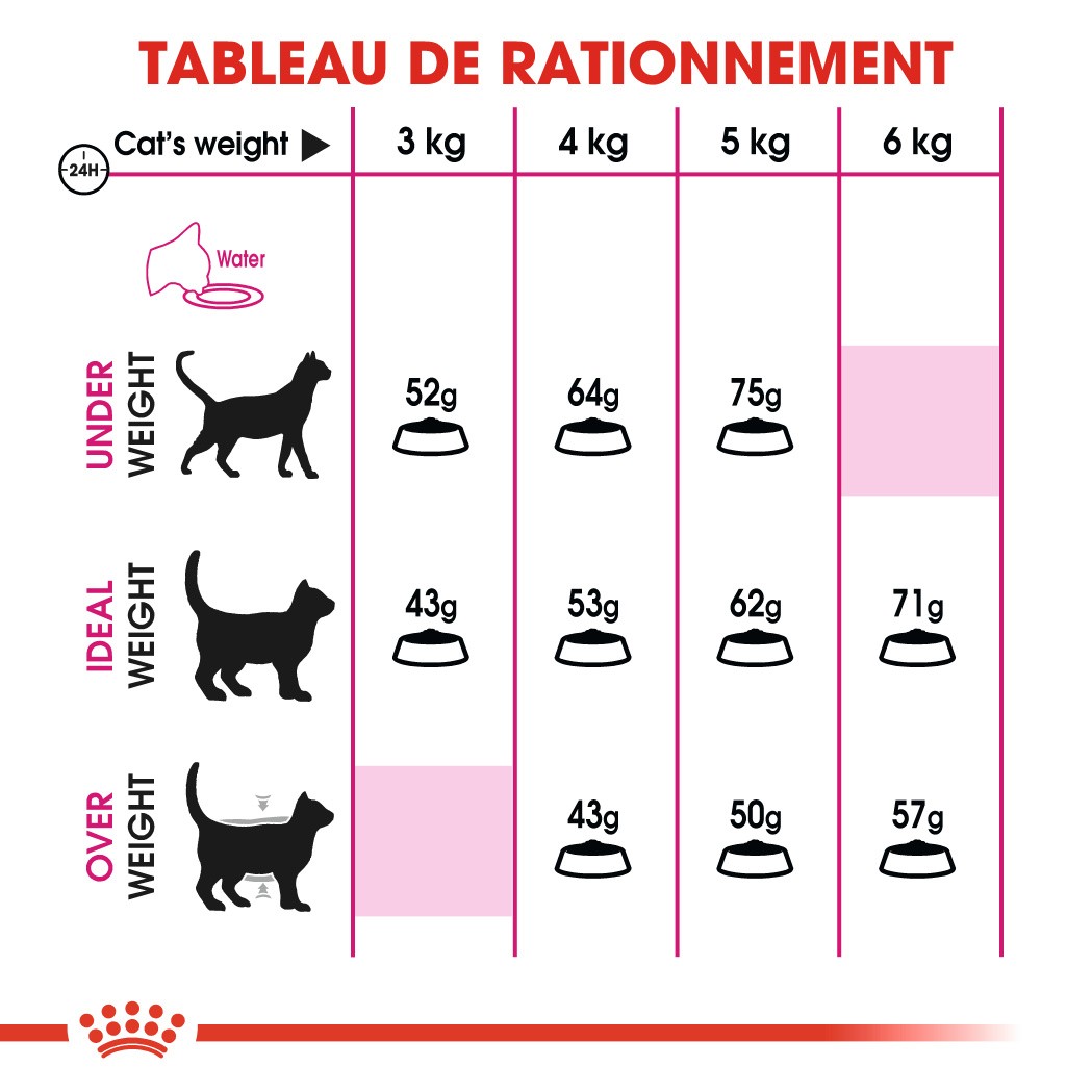 Royal Canin Protein Exigent - croquettes chat