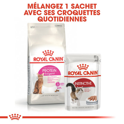 Royal Canin Protein Exigent - croquettes chat