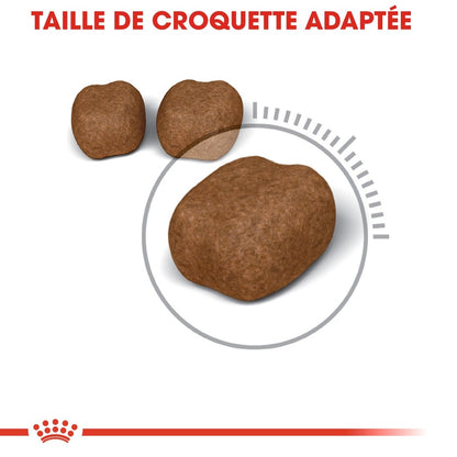 Royal Canin Oral Care - croquettes chat