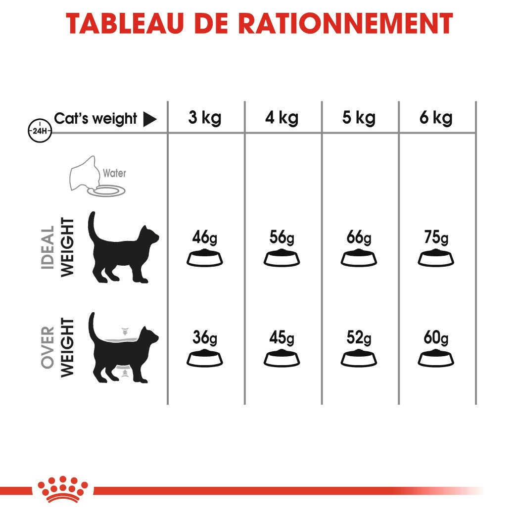 Royal Canin Oral Care - croquettes chat