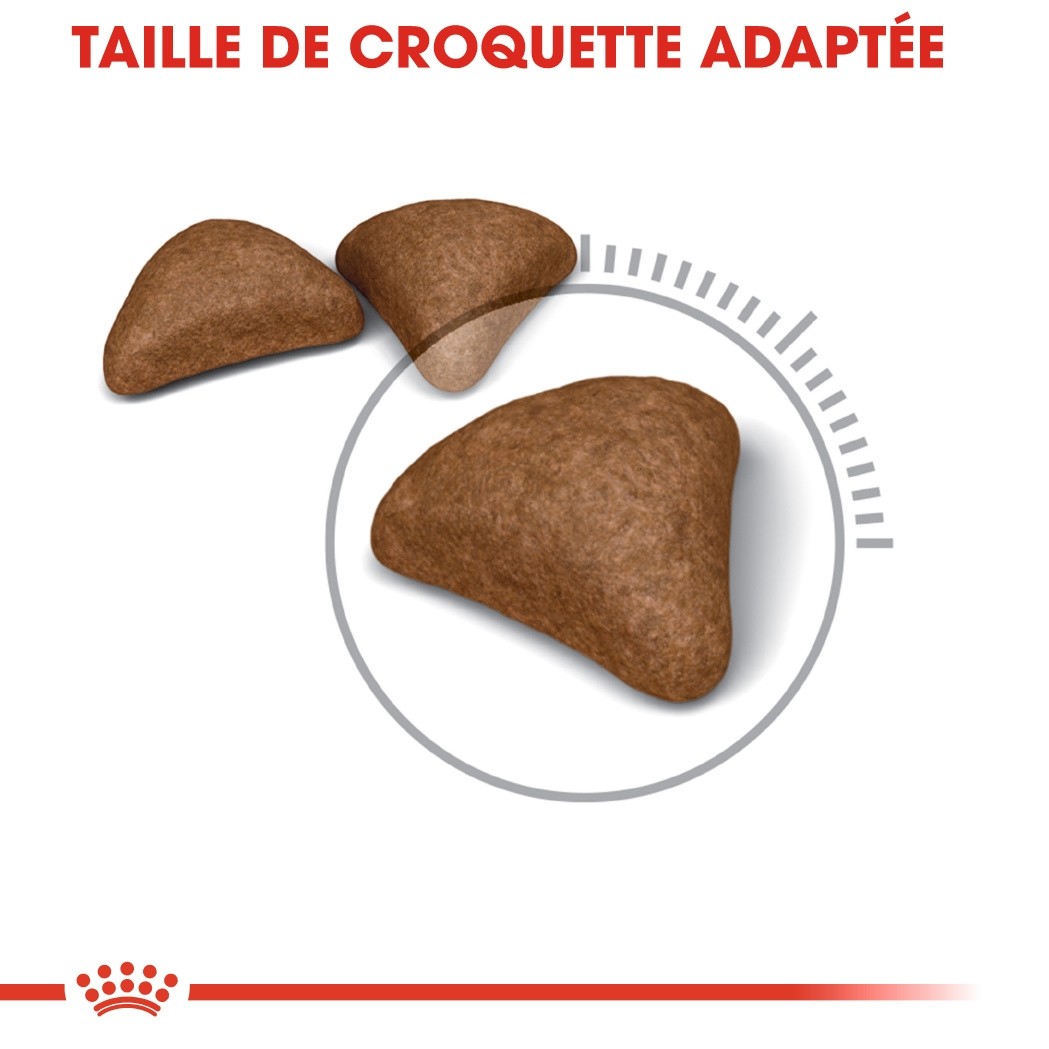 Royal Canin Hairball Care - croquettes chat