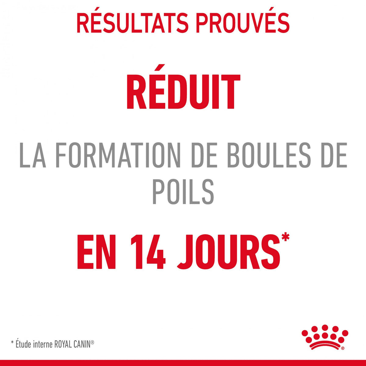 Royal Canin Hairball Care - croquettes chat