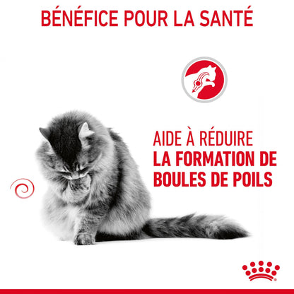 Royal Canin Hairball Care - croquettes chat