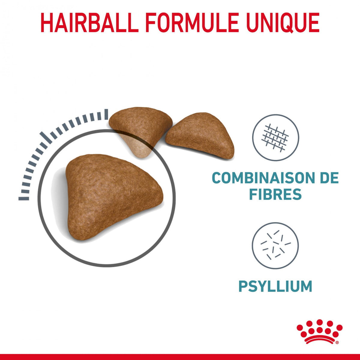 Royal Canin Hairball Care - croquettes chat