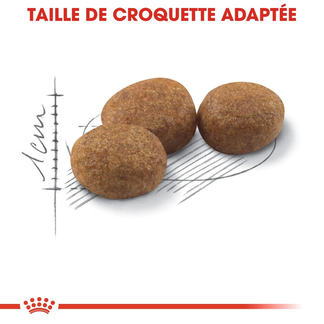 Royal Canin Sterilised 37 - croquettes chat