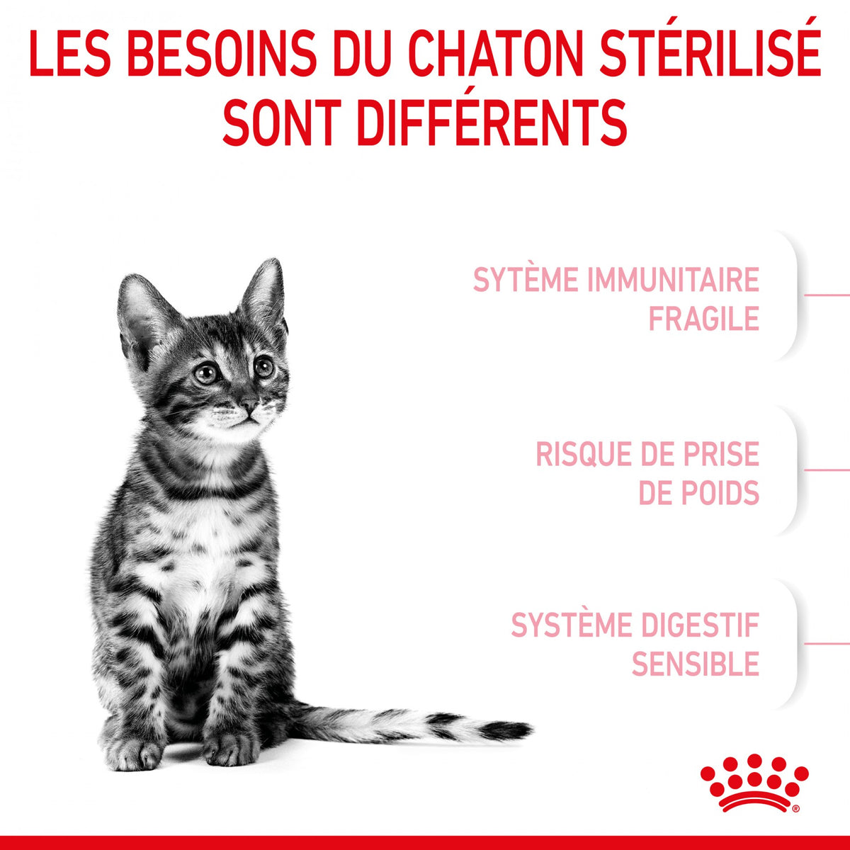 Royal Canin Kitten Sterilised - croquettes chaton
