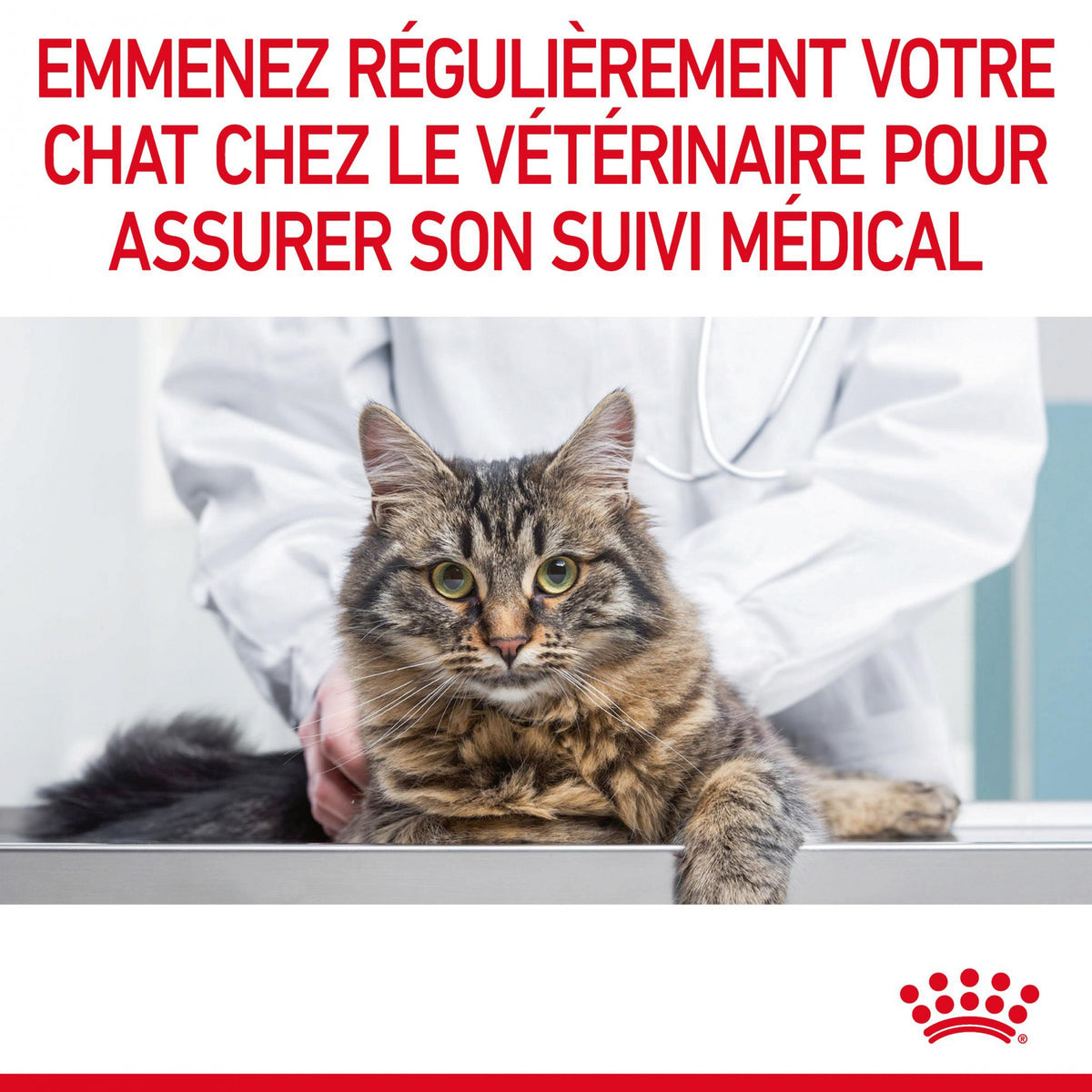 Royal Canin Appetite Control Care - croquettes chat