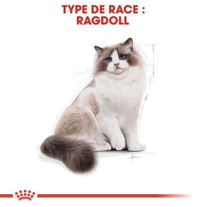 Royal Canin Ragdoll Adult - croquettes chat