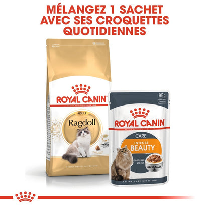 Royal Canin Ragdoll Adult - croquettes chat