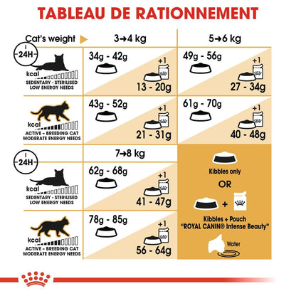 Royal Canin Ragdoll Adult - croquettes chat
