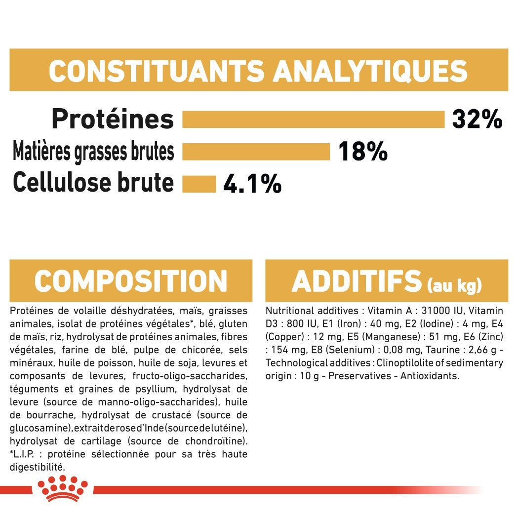 Royal Canin Ragdoll Adult - croquettes chat