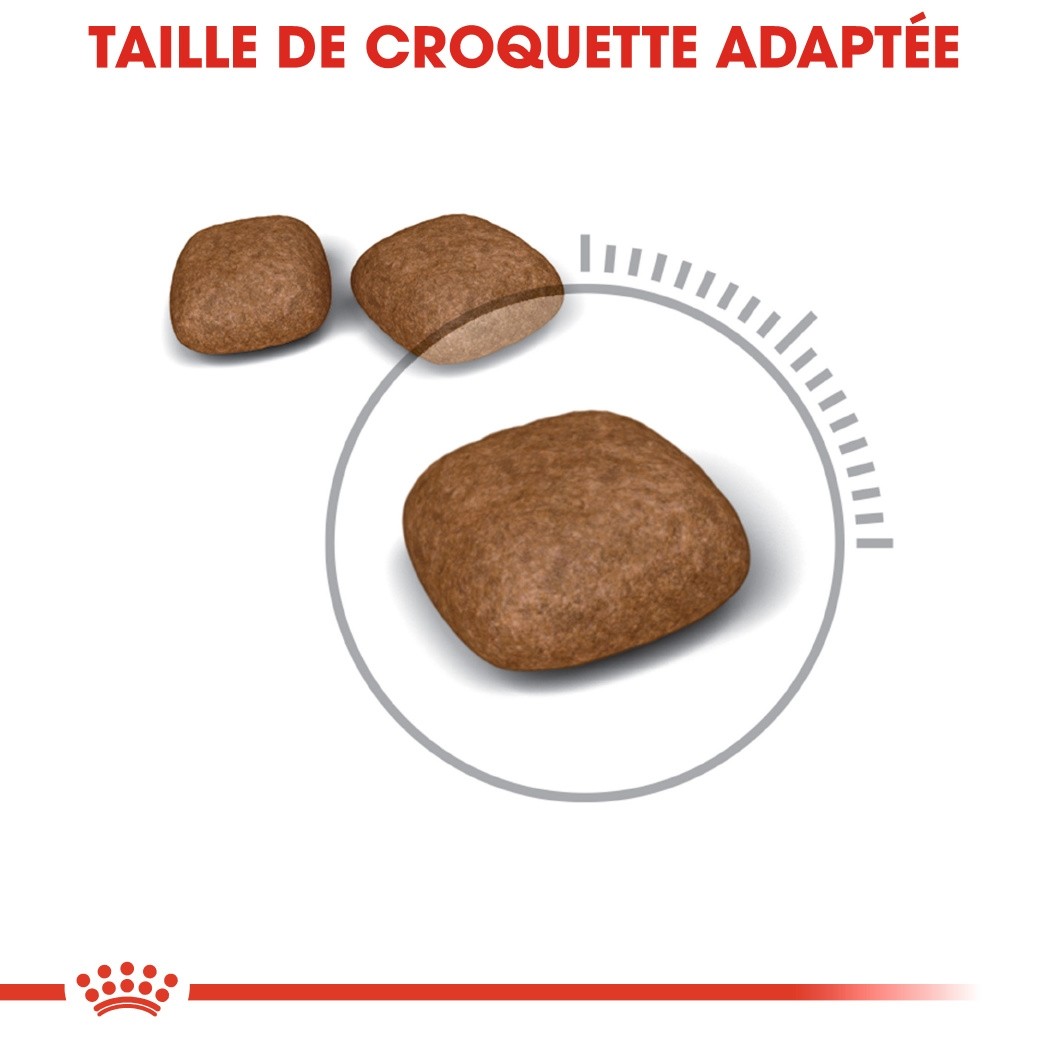 Royal Canin Urinary Care - croquettes chat