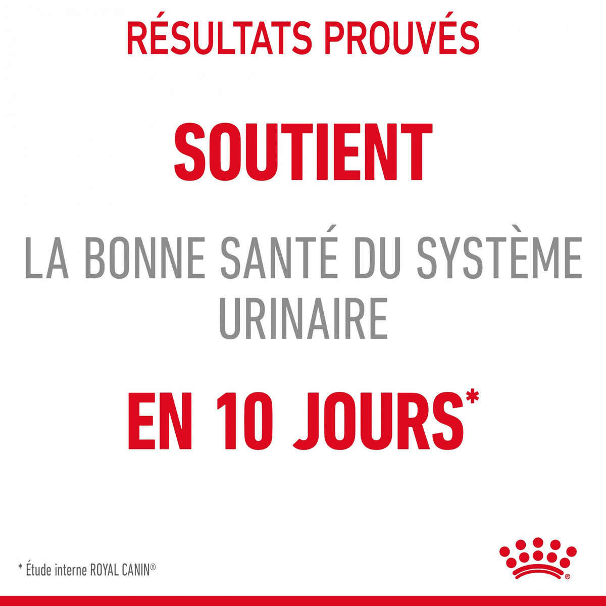 Royal Canin Urinary Care - croquettes chat