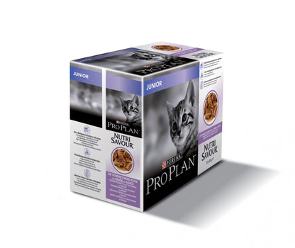 Pro Plan Healthy Start Kitten en sauce à la dinde - pâtée chaton
