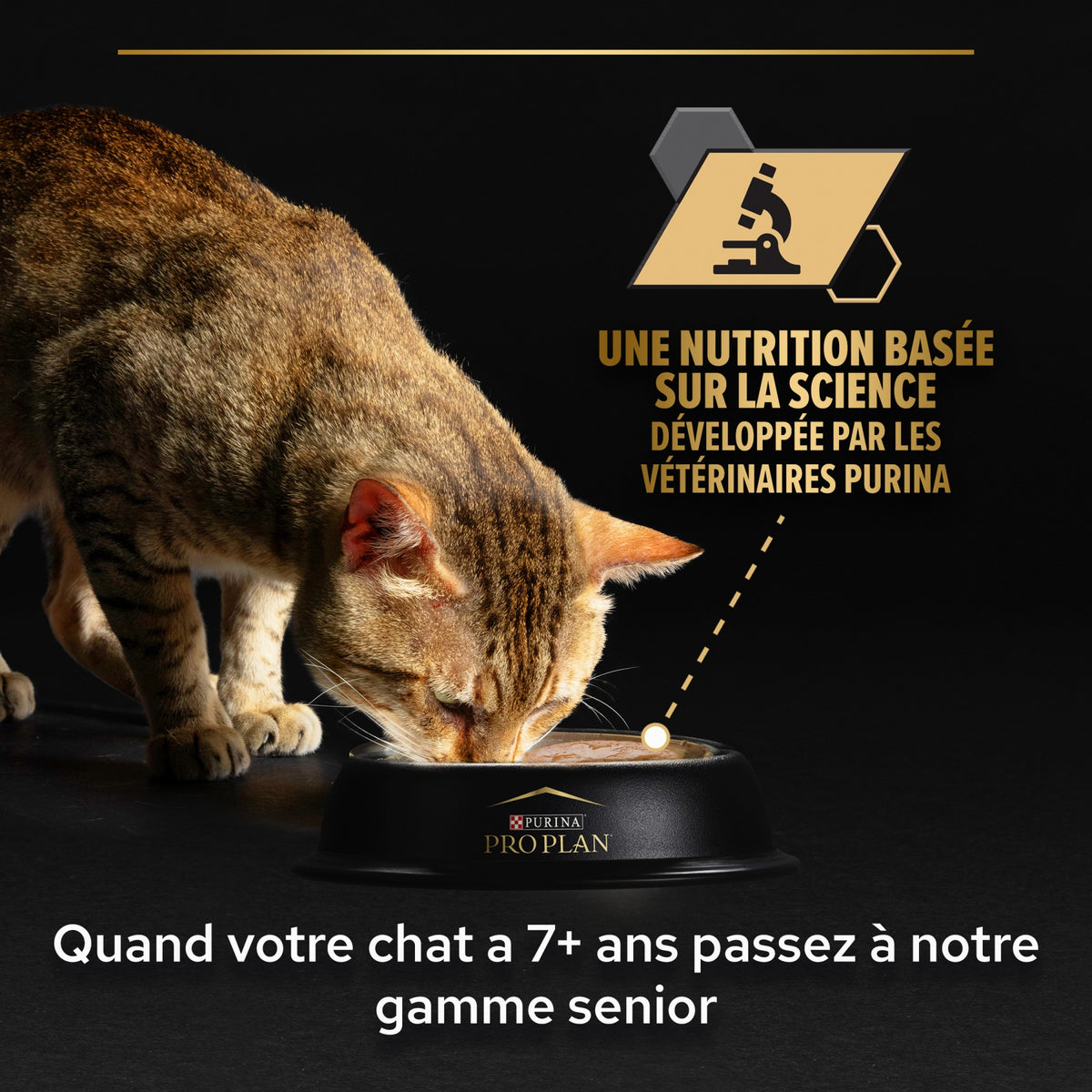Pro Plan Nutrisavour Sterilised en sauce - pâtée chat