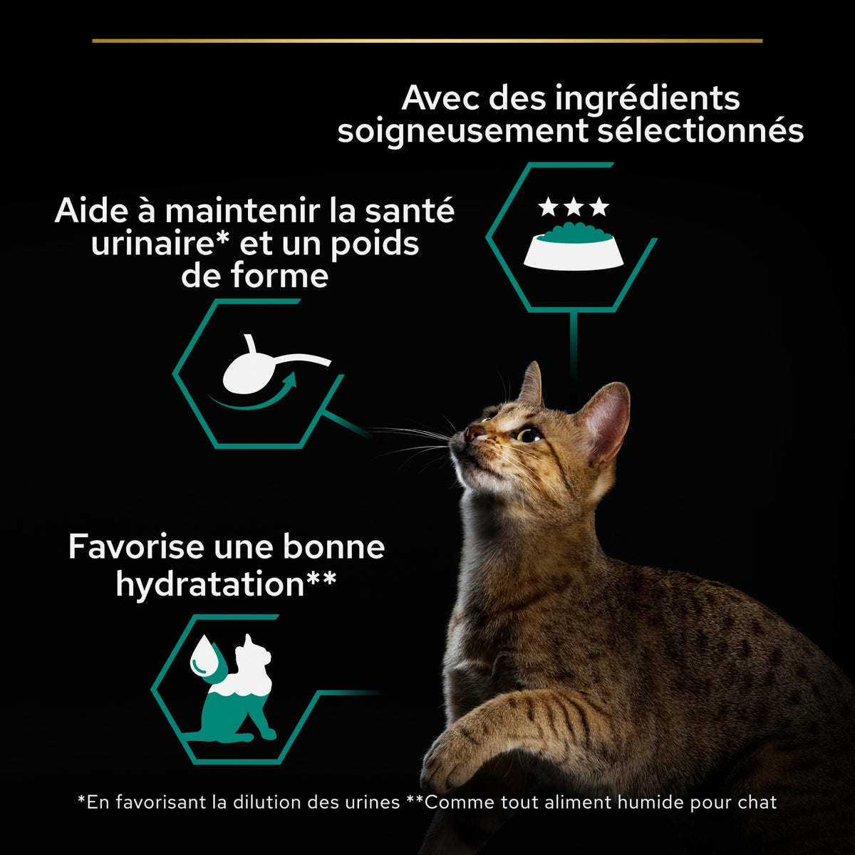 Pro Plan Sterilised thon et saumon - pâtée chat