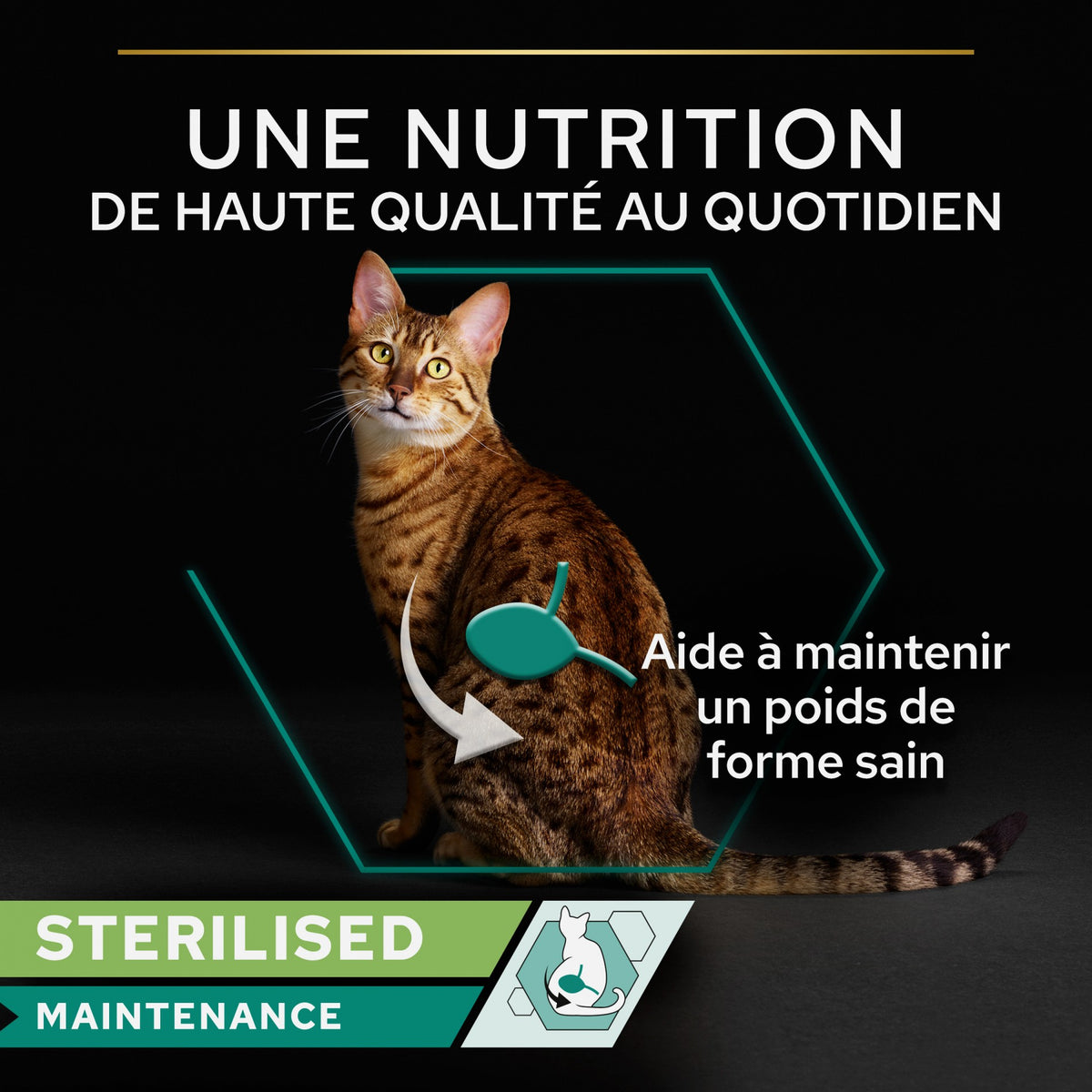 Pro Plan Sterilised thon et saumon - pâtée chat