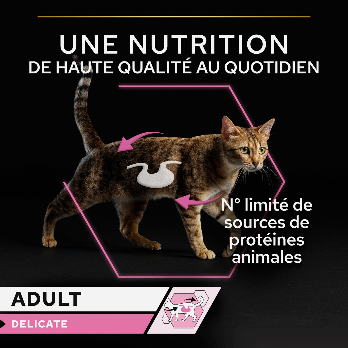 Pro Plan Delicate - pâtée chat