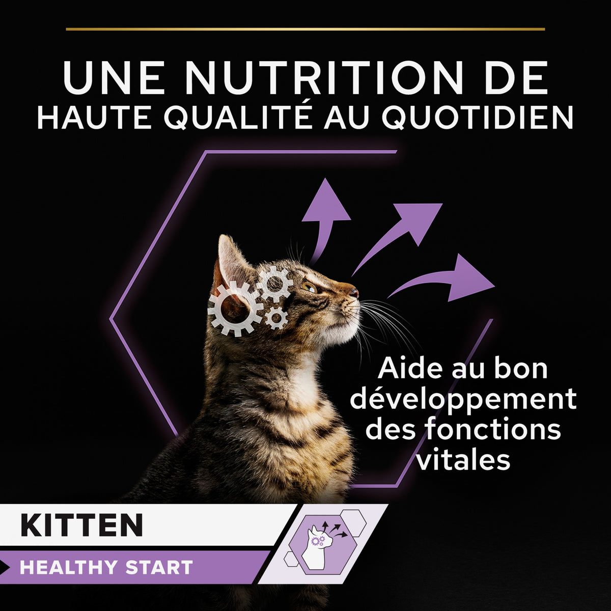 Pro Plan Healthy Start Kitten en mousse au poulet - pâtée chaton